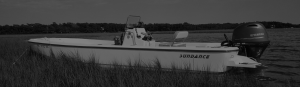 Sundance DX Series Skiff