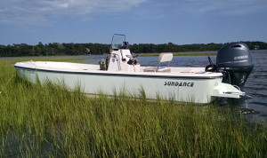 Sundance Skiff DX20 Grass